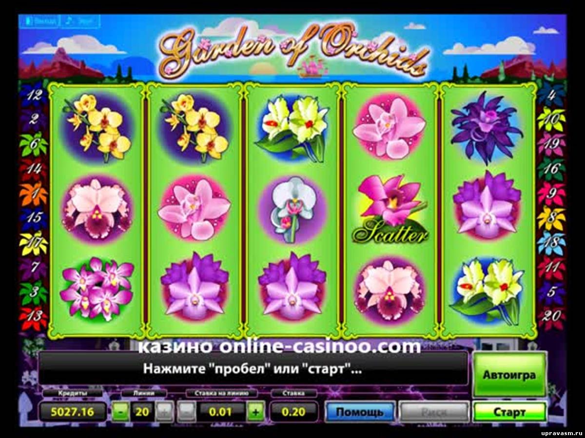 Восхитительный сад цветов в игровом слоте Garden of Orchids