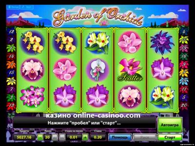 Восхитительный сад цветов в игровом слоте Garden of Orchids