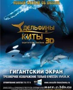 Дельфины и киты 3D - Вертикальная анаморфная стереопара