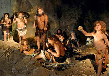 _У неандертальцев было половое разделение труда,- ученые