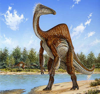 Раскрыта эволюционная загадка тираннозавра