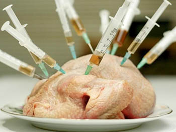 В Израиле появилась лаборатория по выращиванию куриного мяса: убивать птиц больше не нужно