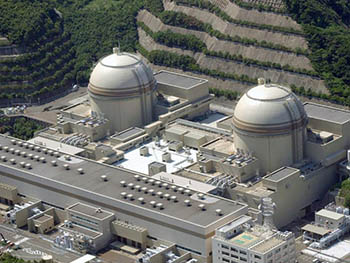 В Японии забили тревогу из-за радиоактивных кабанов