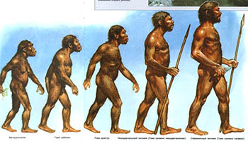 Нелегкое детство: маленькие неандертальцы много работали и мало играли